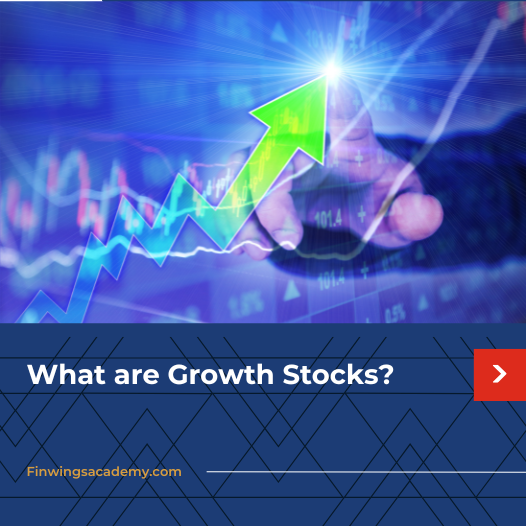 What are Growth Stocks